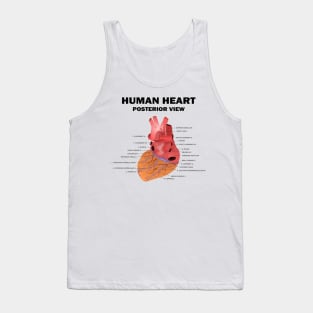 Anatomical Heart Human - Human Heart Posterior View Tank Top